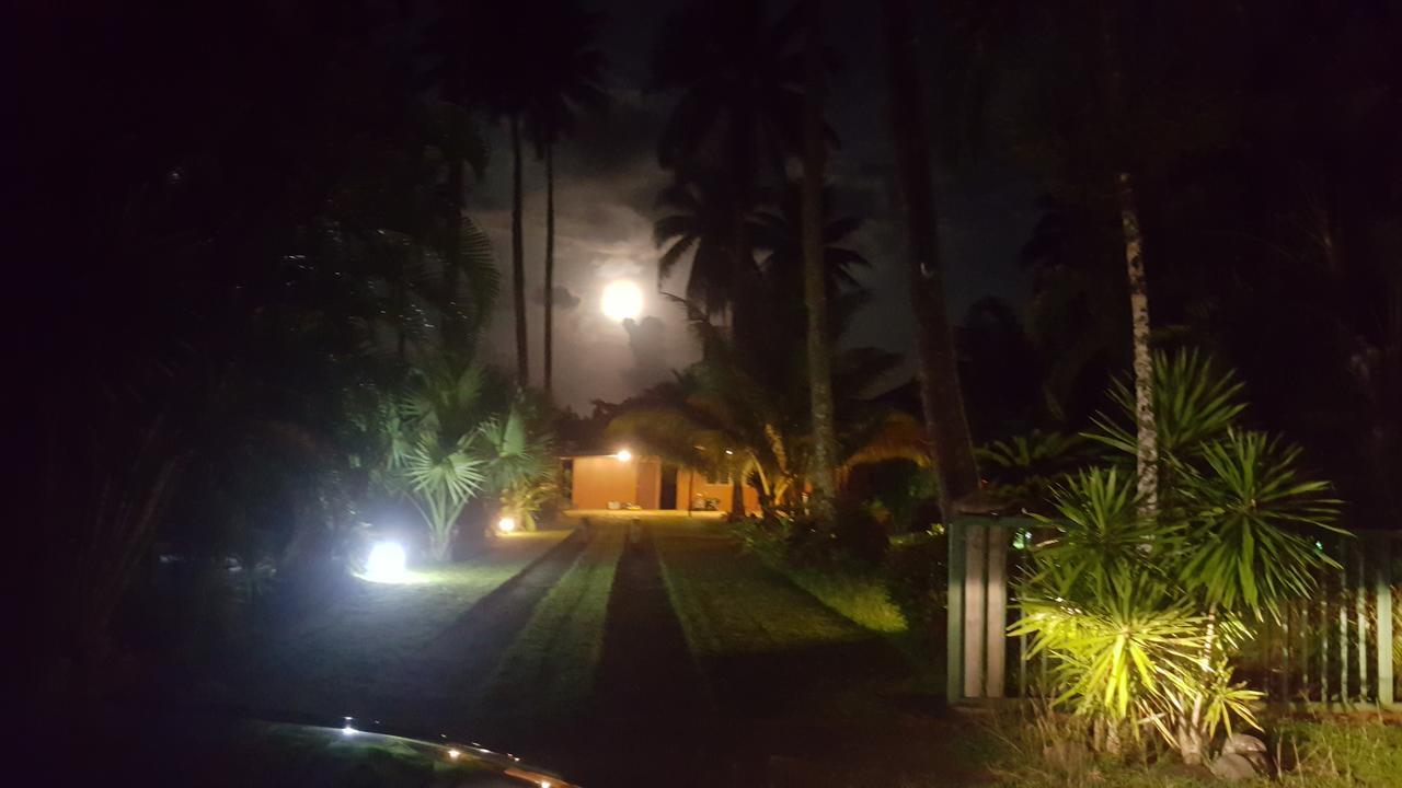 Villa Manaora Taravao Dış mekan fotoğraf