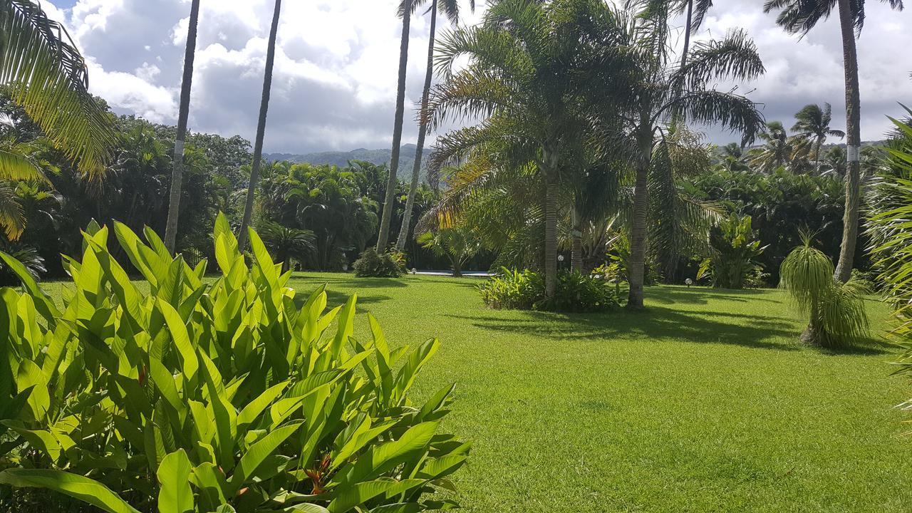 Villa Manaora Taravao Dış mekan fotoğraf